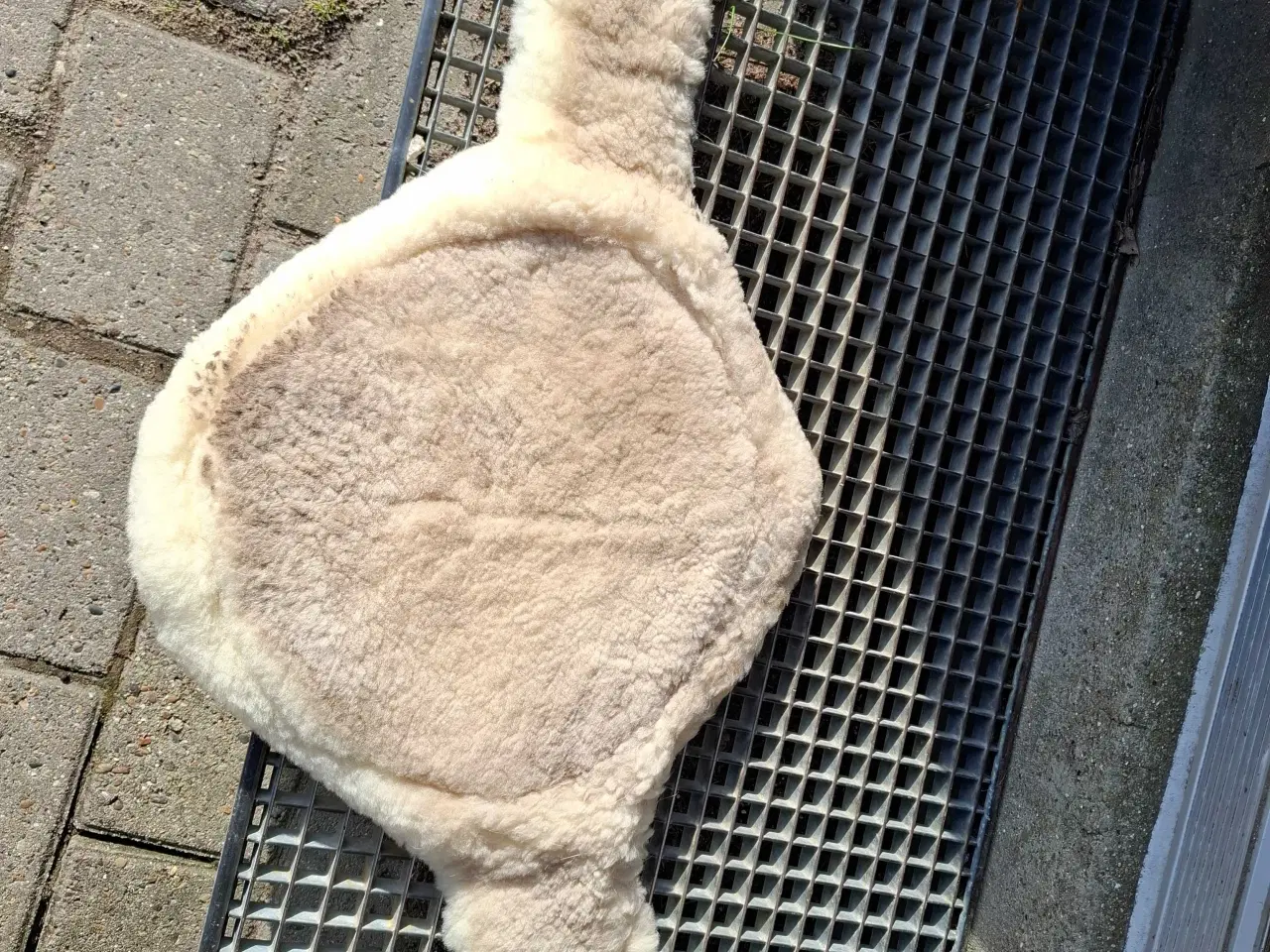 Billede 1 - Lammeskind 