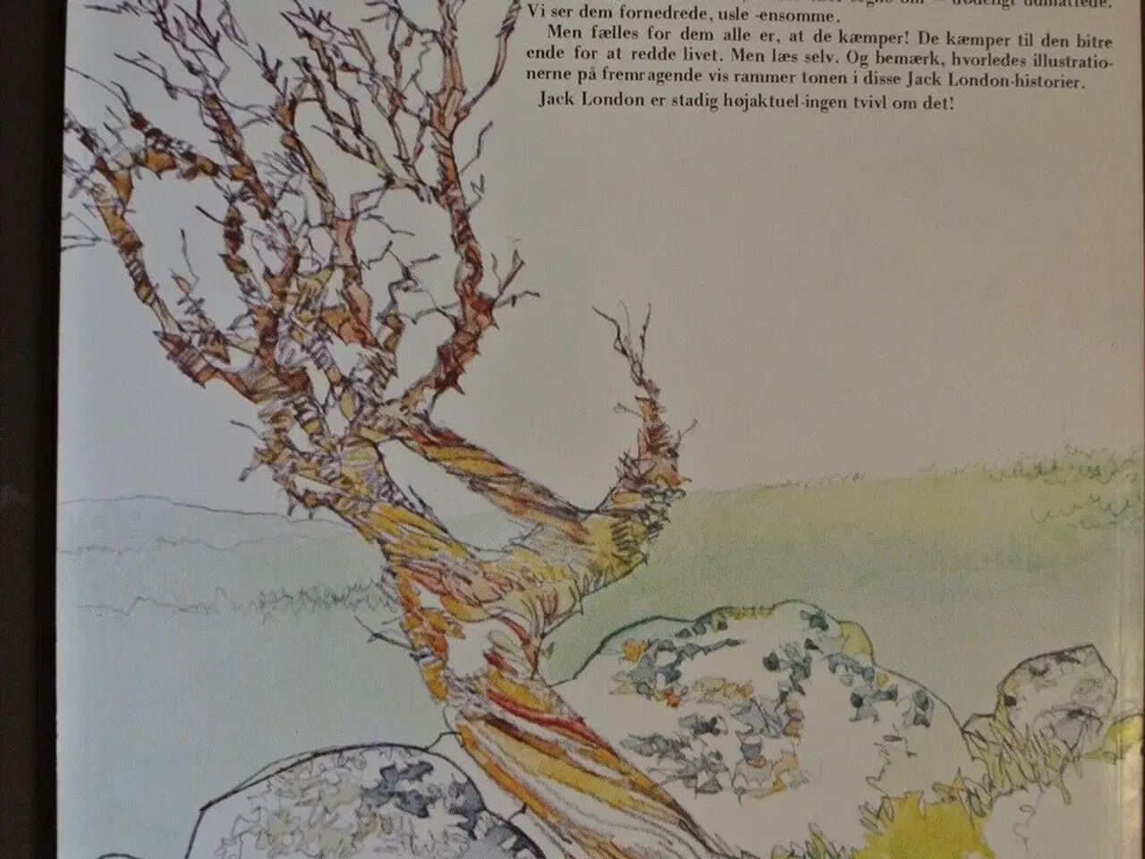 Billede 2 - livet i vildmarken, ill. af sergio toppi, Tegneser