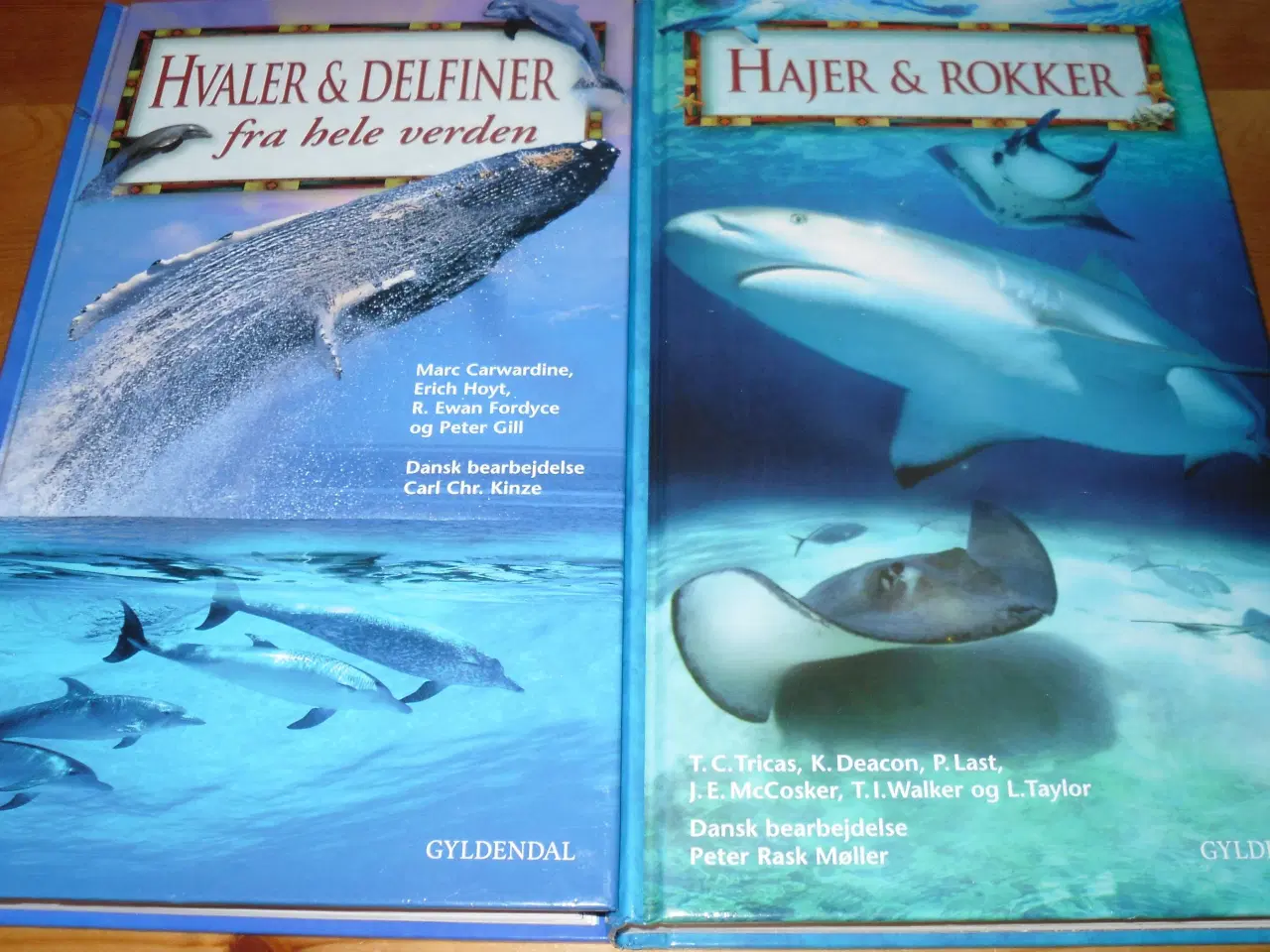 Billede 2 - Udgået. HVALER & Delfiner.