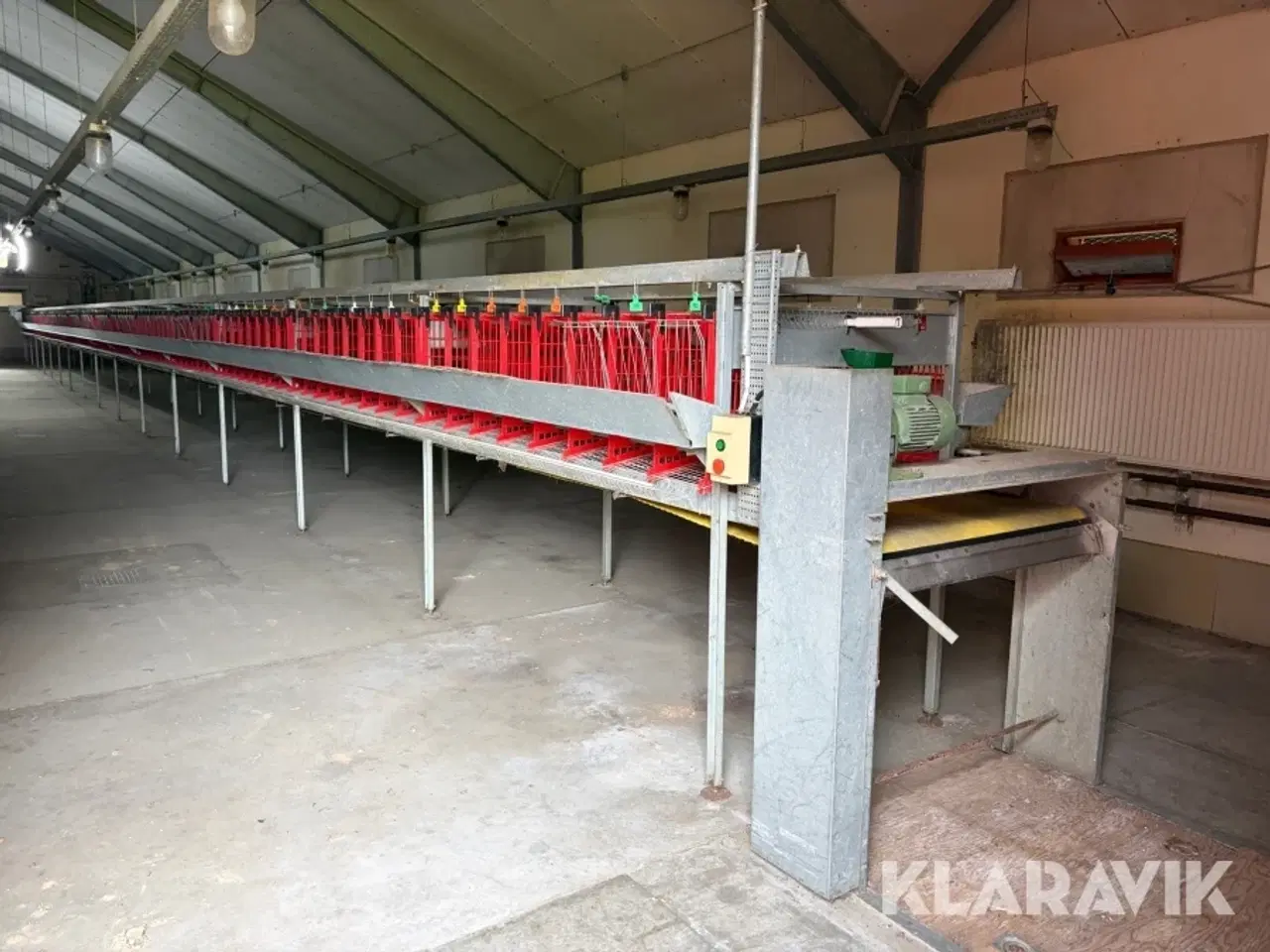 Billede 6 - Produktionslinje Big Dutchman + Landmeco æglægger system