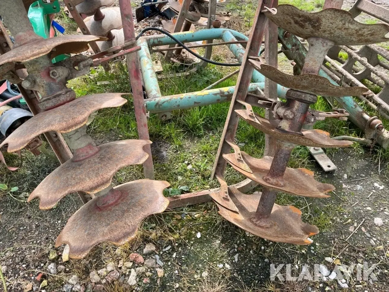 Billede 4 - Tallerkenharve Skålsvans