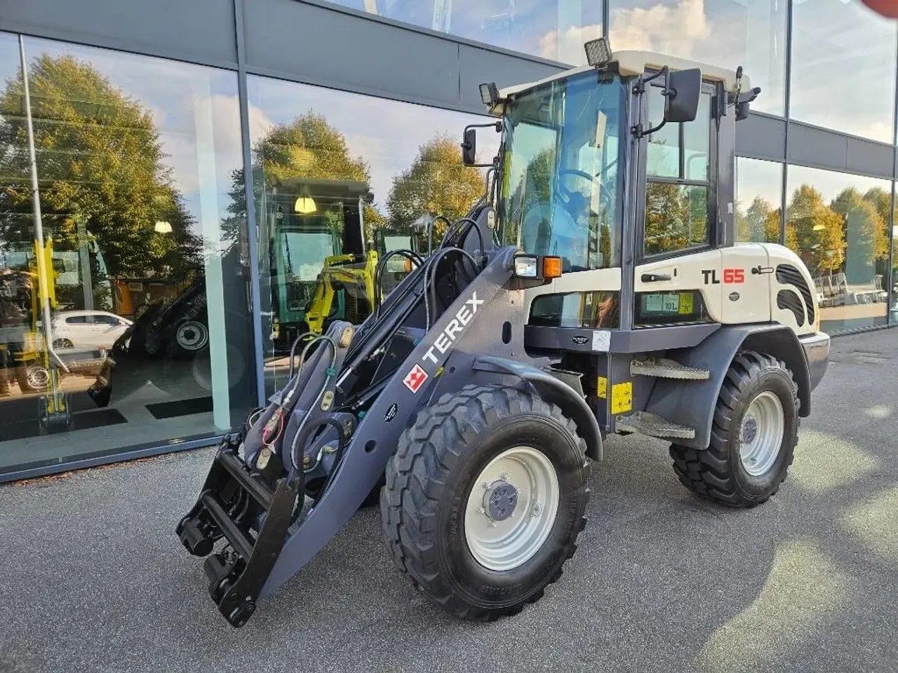 Billede 4 - Terex TL 65