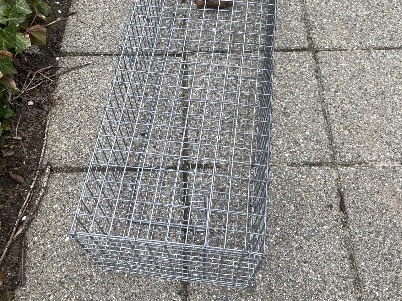 Billede 3 - Mårfælde til at fange husmår eller lignende