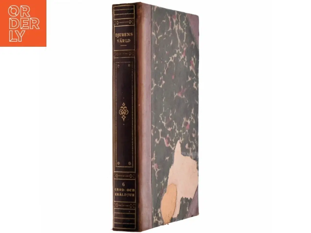 Billede 2 - Djurens värld