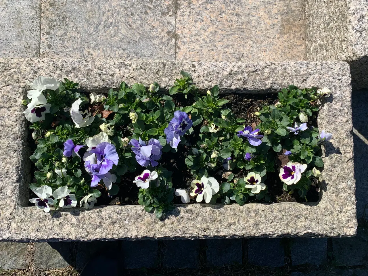 Billede 2 - Unikke aflange blomsterkrukker i massiv granit 