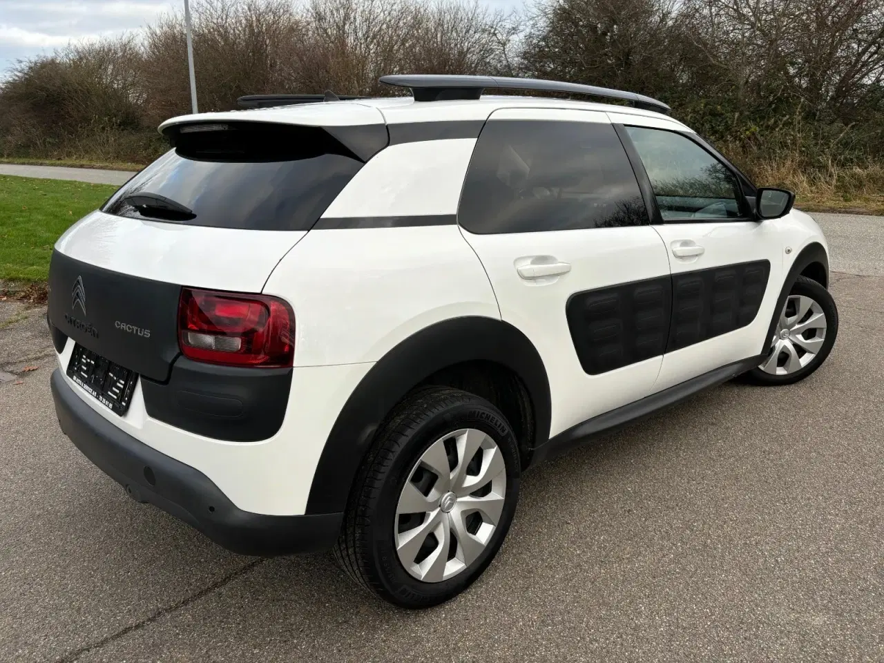 Billede 3 - Citroën C4 Cactus 1,6 BlueHDi 100 Shine Edition ETG6 Van