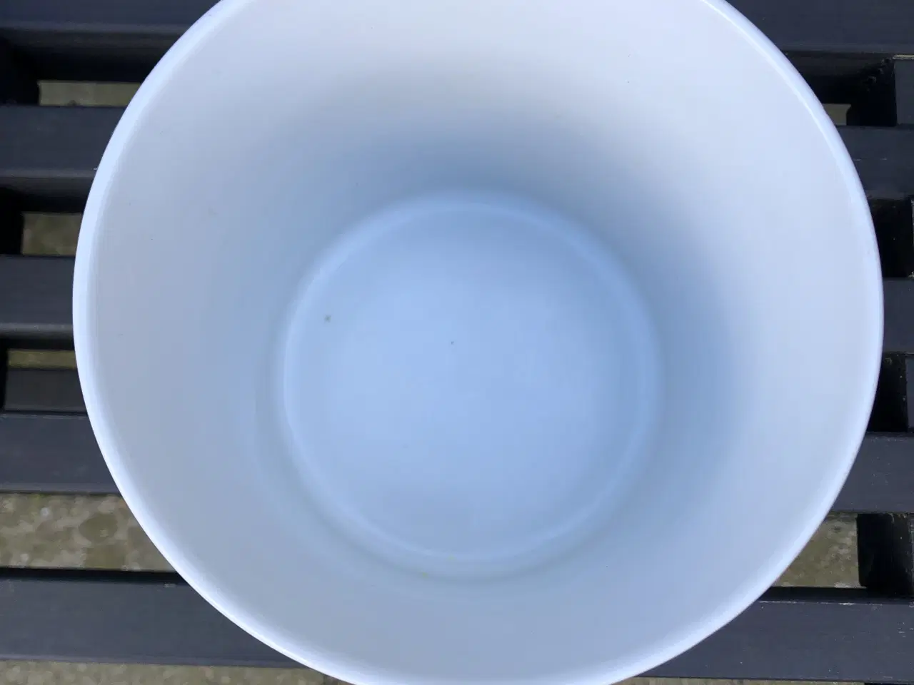 Billede 2 - Musselmalet