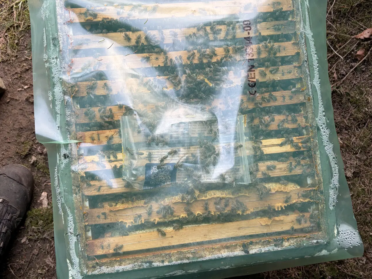 Billede 1 - Bifamilie til salg