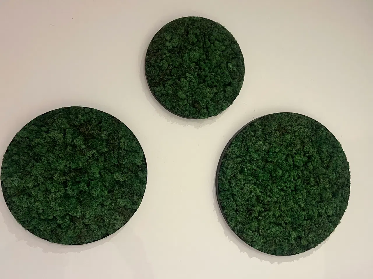 Billede 13 - Mos billeder vi laver 