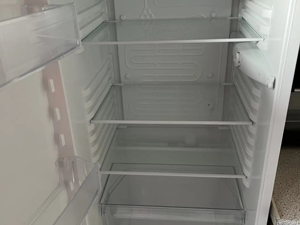 Billede 2 - Electrolux køleskab