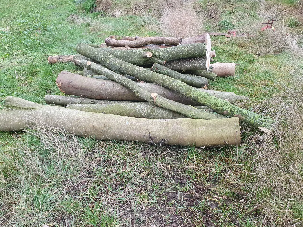 Billede 1 - Brænde sælges