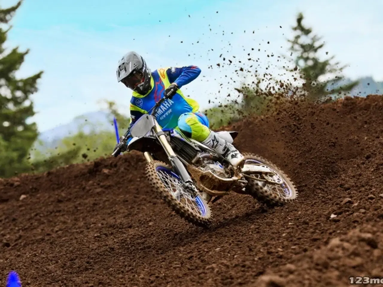 Billede 2 - Yamaha YZ 450 F Monster Energy Yamaha Racing Edition