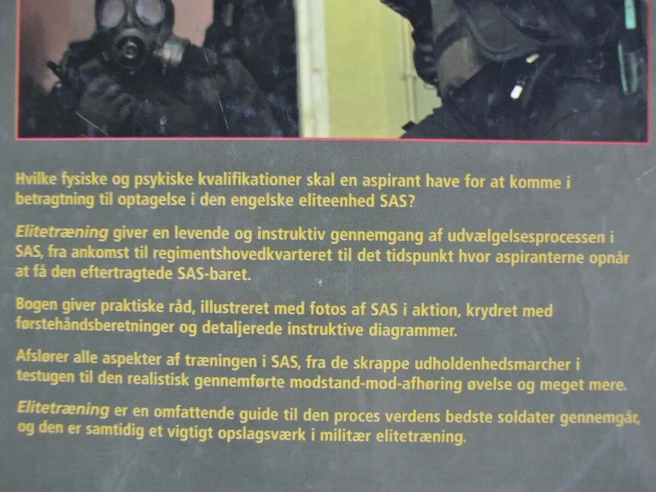 Billede 3 - elitetræning - sådan udvælges og trænes verdens , 