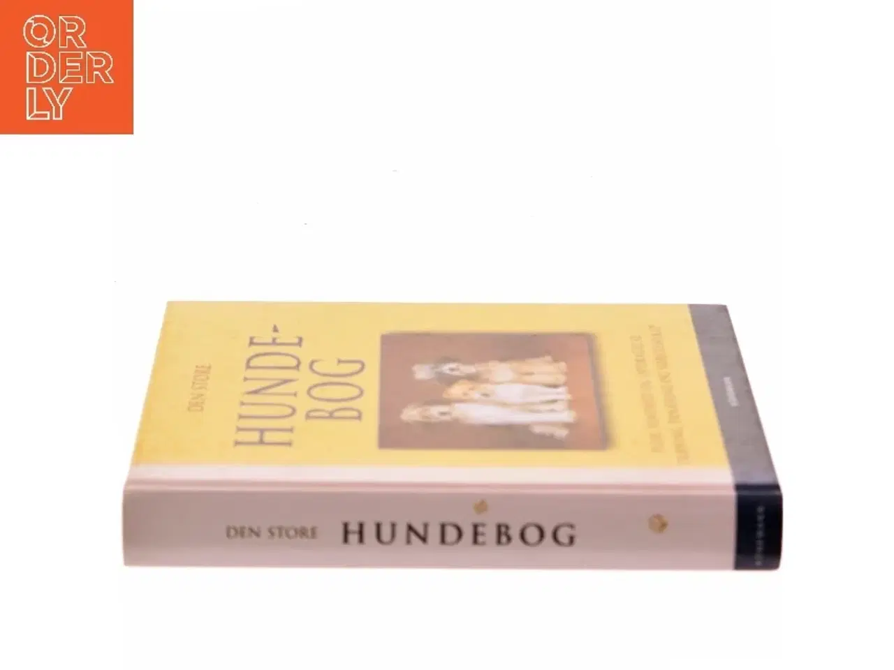 Billede 2 - Den store hundebog : pleje, sundhed og opdragelse, træning, ernæring og førstehjælp af <Bogens forfattere< (Bog)