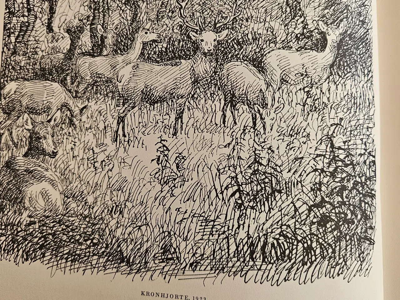 Billede 2 - Johannes Larsen, Tegninger og Grafik