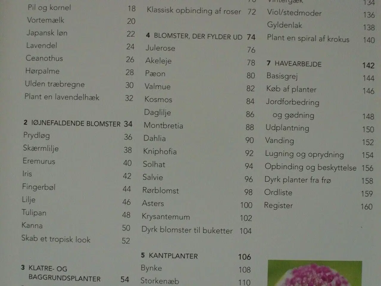 Billede 2 - populære haveplanter - begynderens guide til en , 