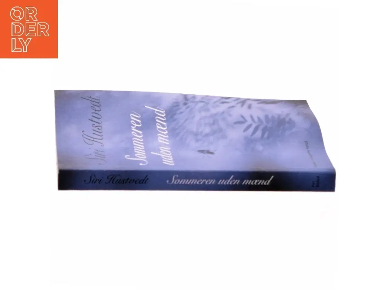 Billede 2 - Sommeren uden mænd : roman af Siri Hustvedt (Bog)