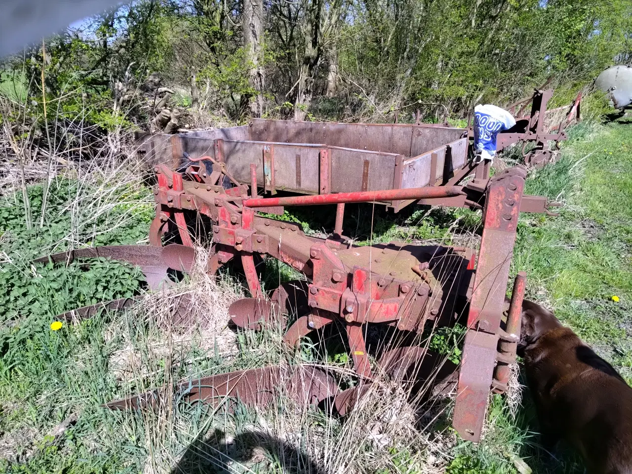 Billede 2 - Skjold Markant 14" 3 furet 