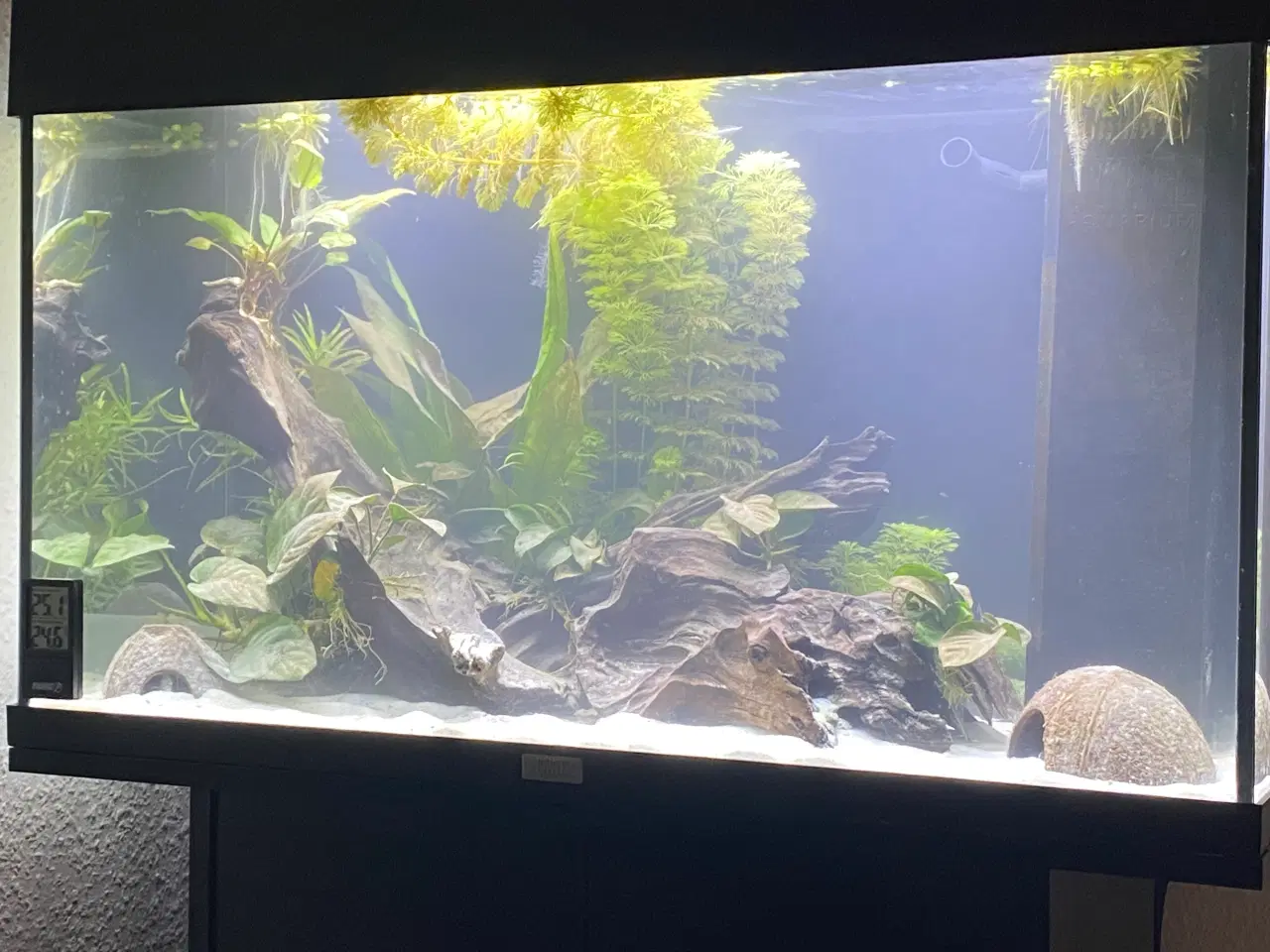 Billede 2 - Juwel 125l med bord og tilbehør