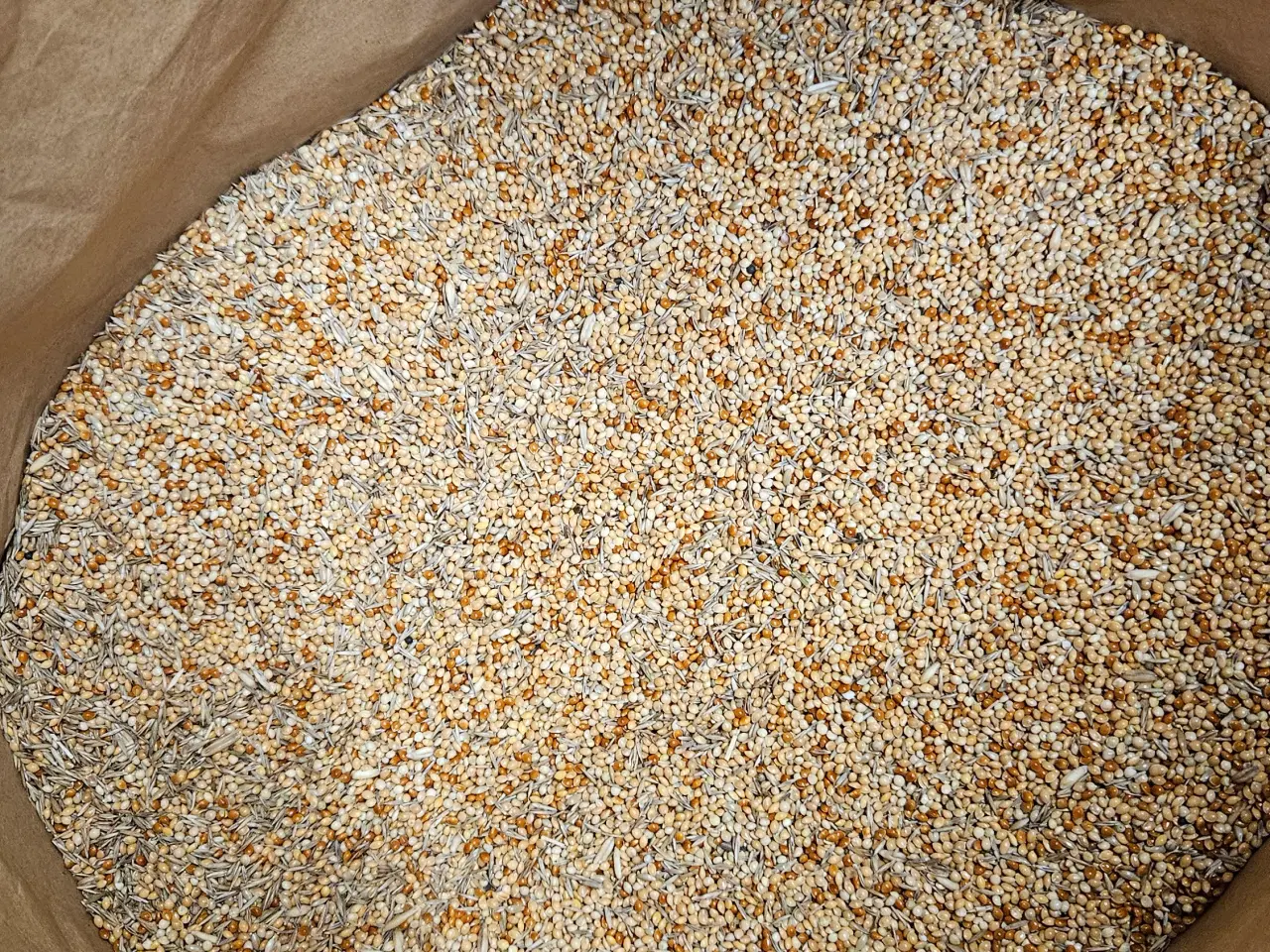 Billede 2 - Foder til undulater