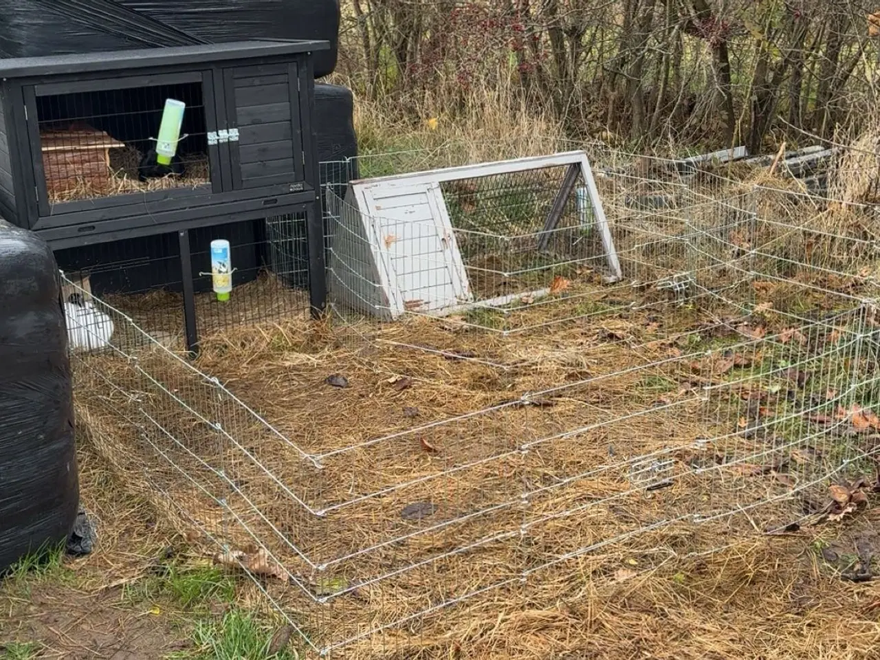 Billede 1 - Stor kanin pakke