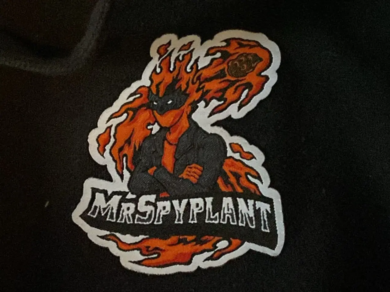 Billede 1 - Mr. Spyplant hoddie