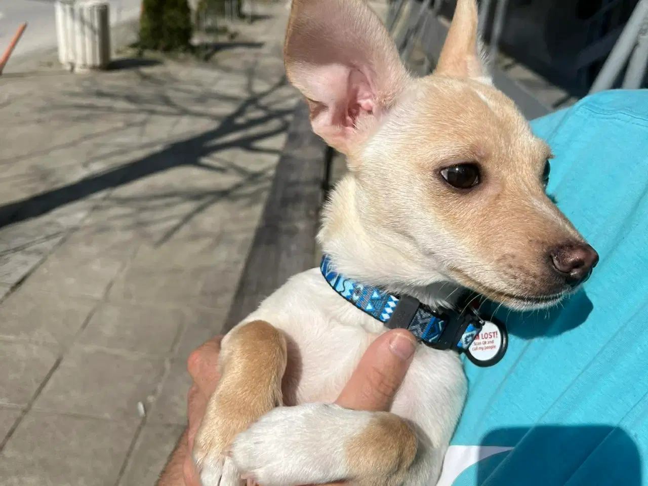 Billede 5 - Lille Mille 🩷