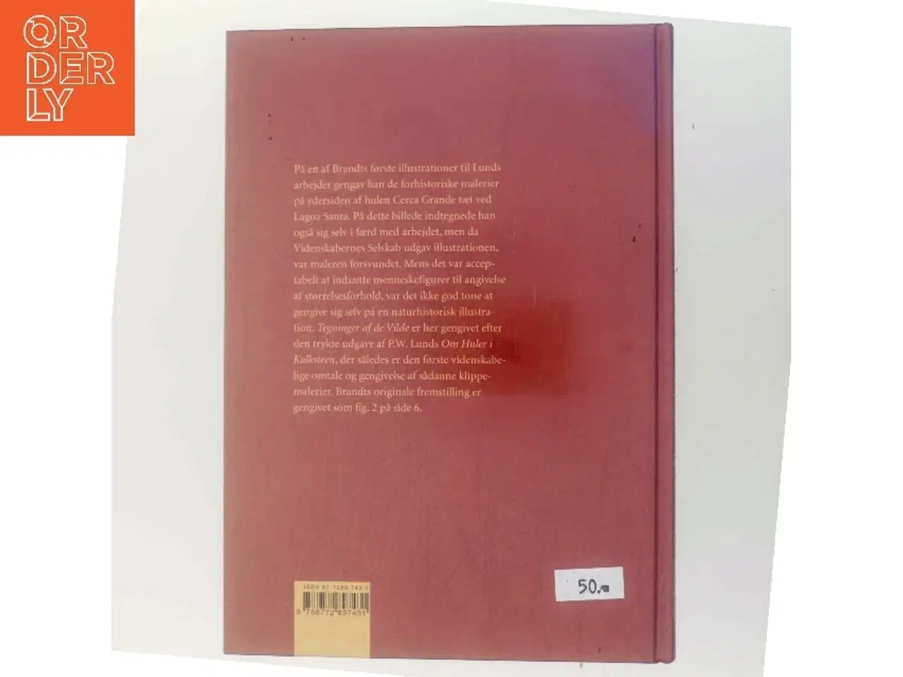 Billede 3 - Den forsvundne maler : P.W. Lund og P.A. Brandt i Brasilien (Bog)