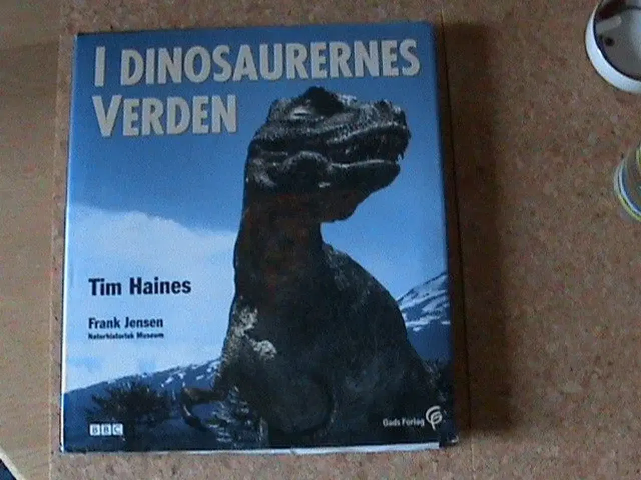 Billede 1 - BOG: I dinosauernes verden, Tim Haines