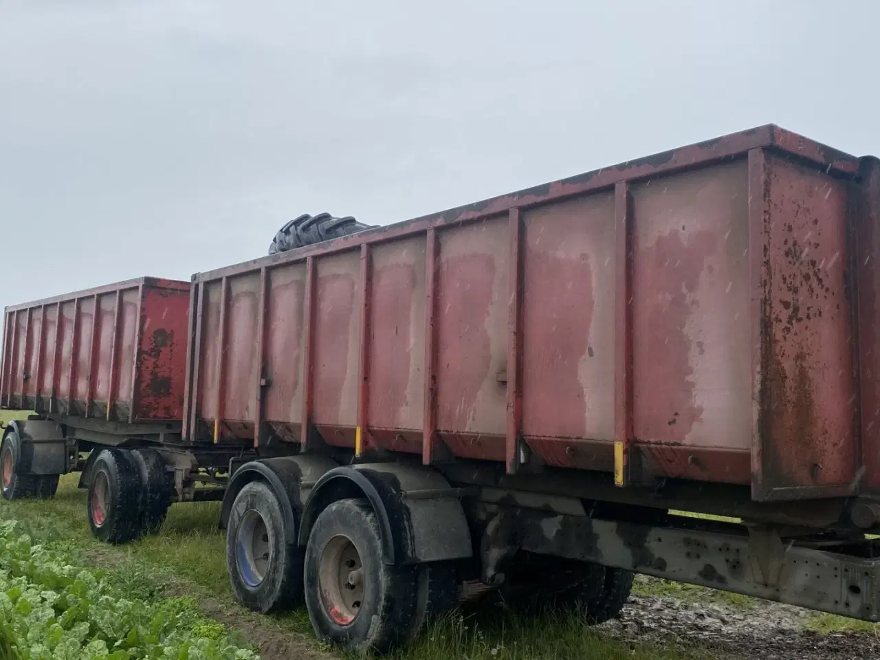Billede 4 - Scania Tipvogn. Bagtip på begge vogn. Meget stærke vogne