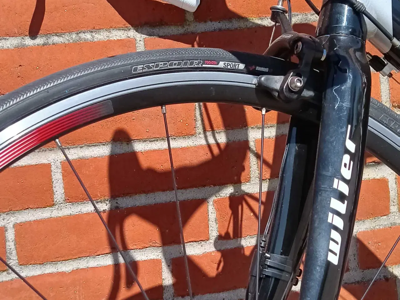 Billede 7 - Wilier Triestina lavaredo