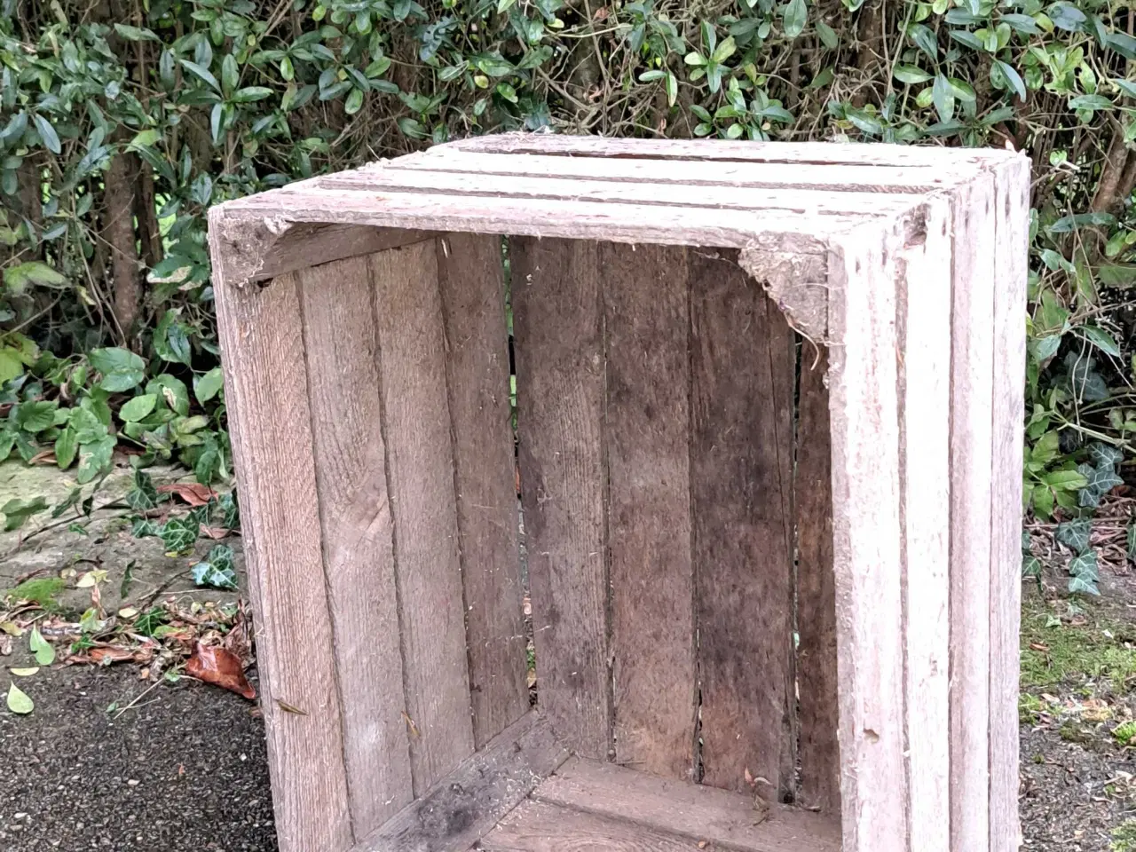 Billede 1 - Gammel æblekasse