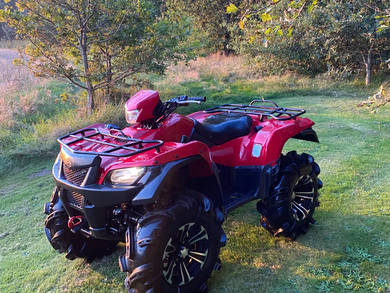 Billede 4 - Suzuki kingquad 700