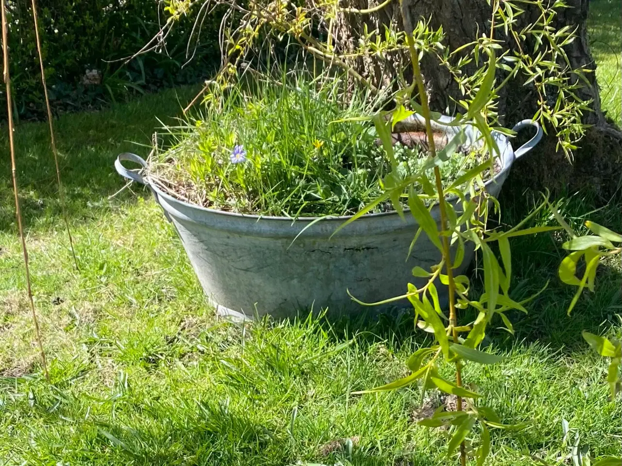 Billede 2 - Zinkbalje, spand, tørv 