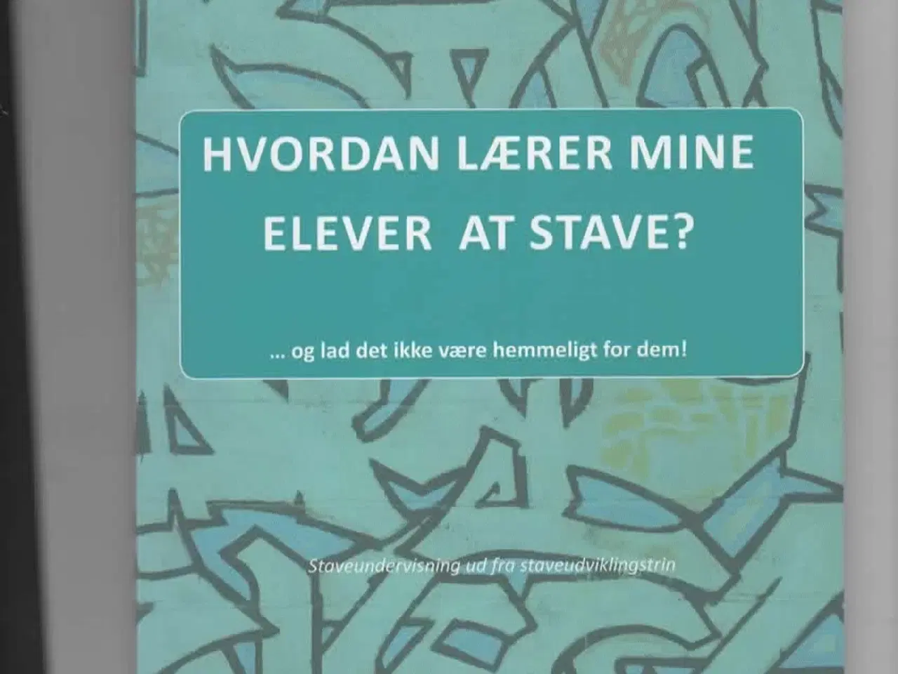 Billede 1 - Stsveundervisning