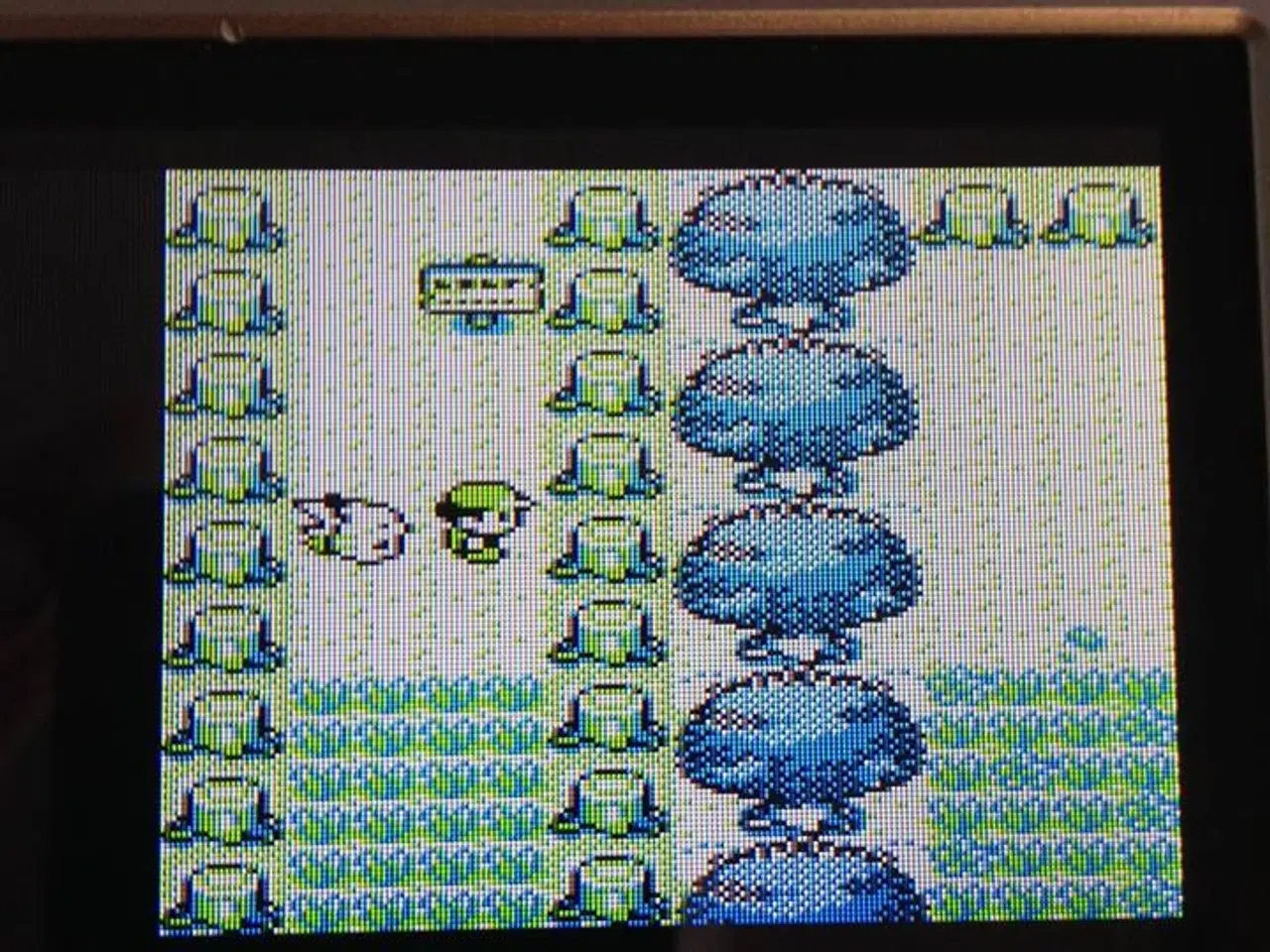 Billede 9 - Pokemon Yellow, Red, Silver, Gold , Gameboy Spil