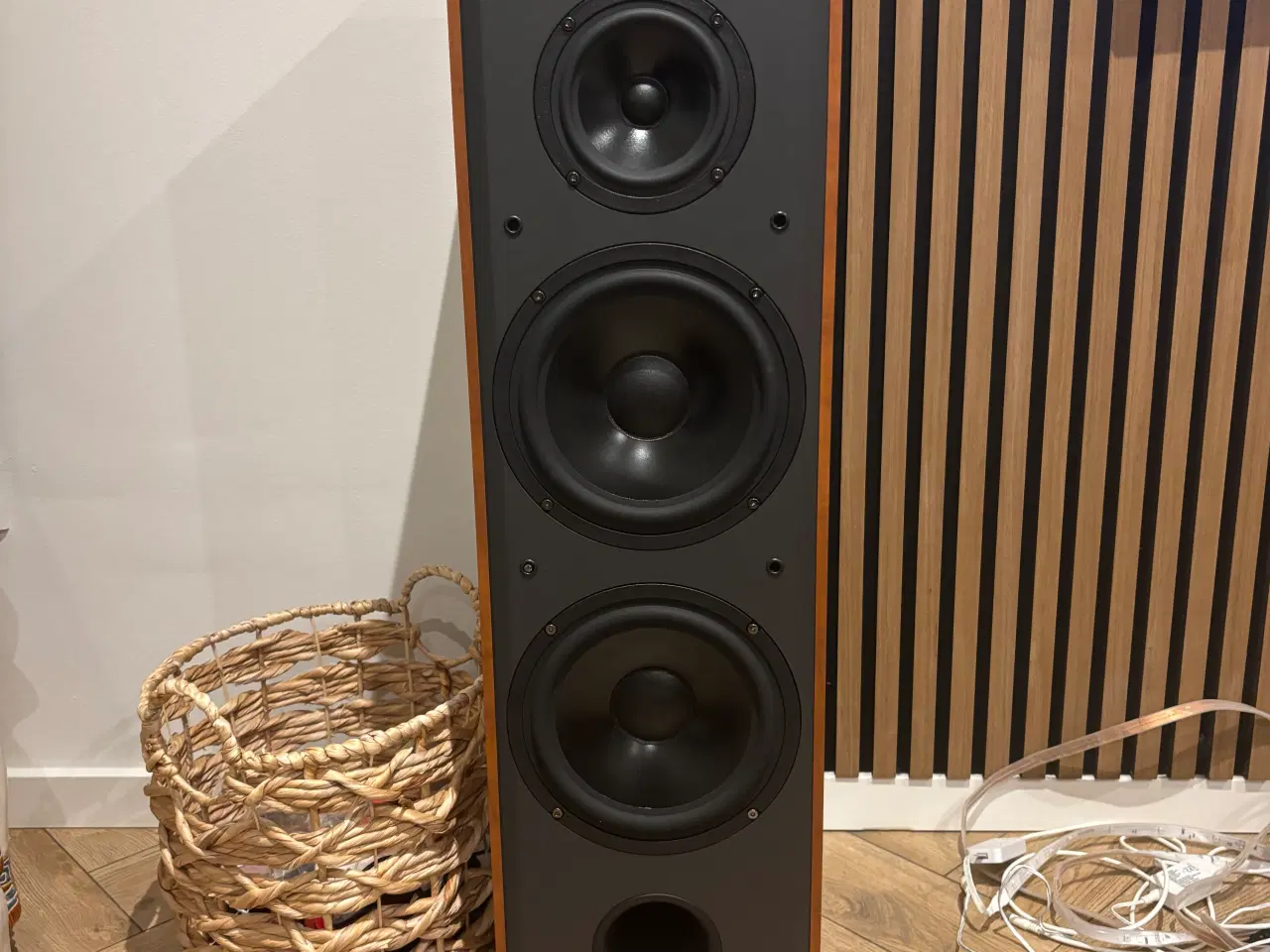 Billede 3 - 🎵 DALI Blue 8008 gulvhøjttalere – flot stand