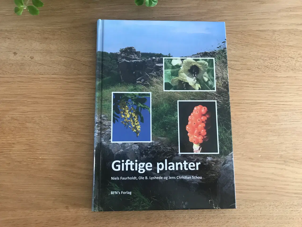 Billede 1 - Giftige planter  af Niels Faurholdt m.fl.