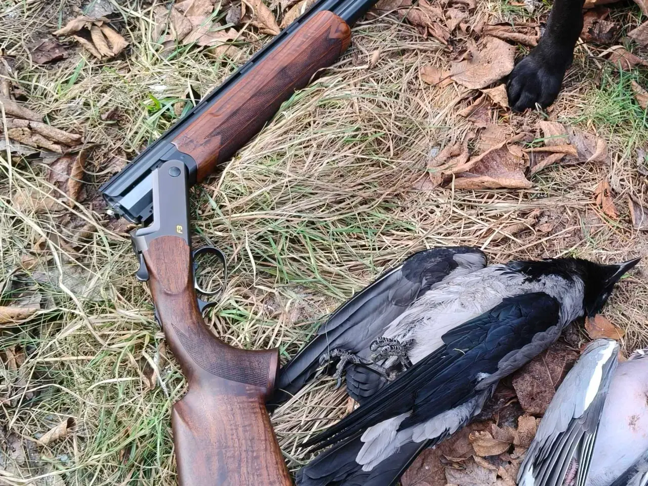 Billede 5 - Blaser F3 Competition