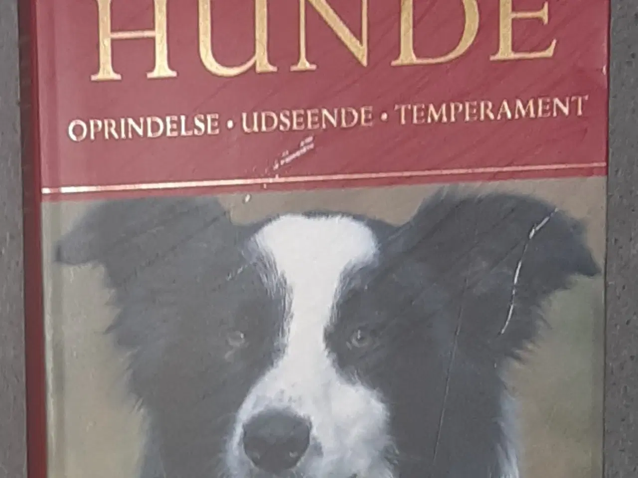 Billede 4 - Bøger om hunden 4 stk. samlet pris.
