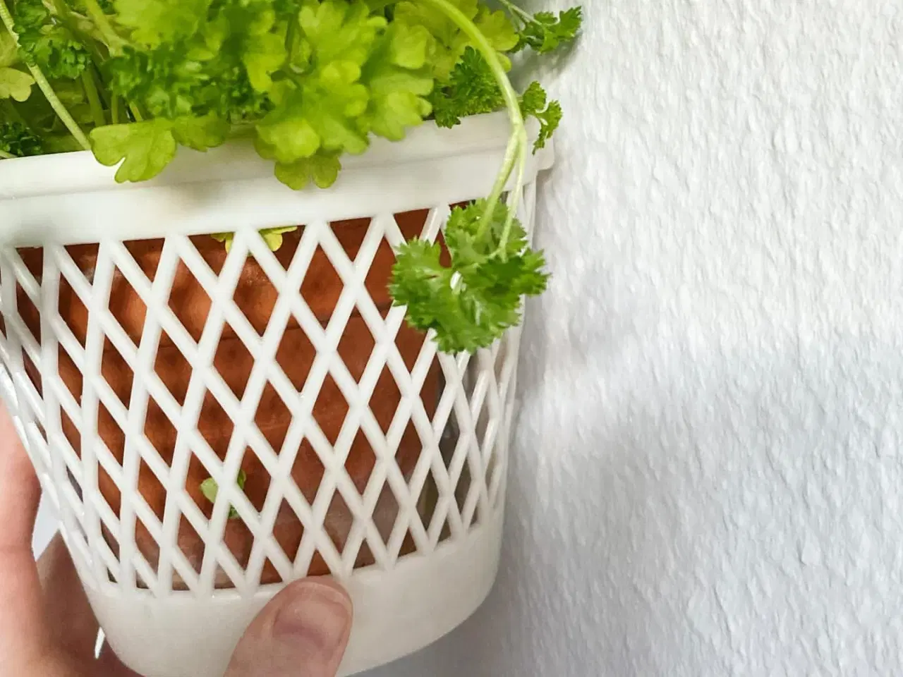 Billede 4 - Hvid plastkurv til urtepotte, ophæng, NB