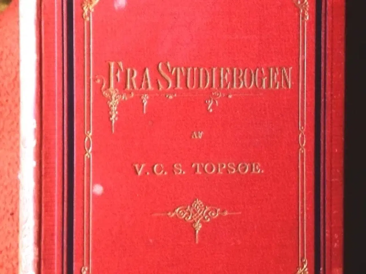 Billede 1 - Vilhelm Topsøe: Fra Studiebogen