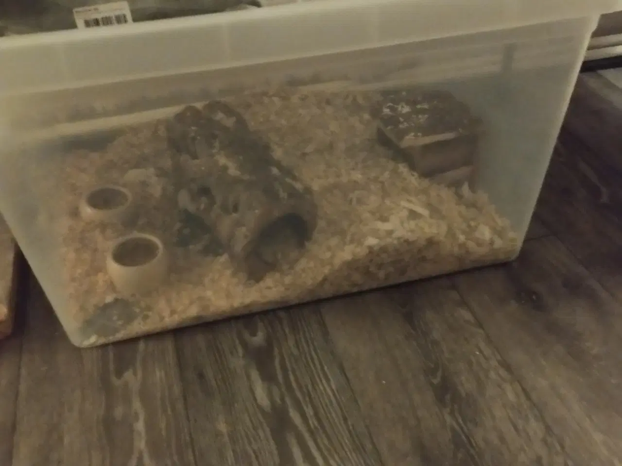 Billede 1 - 3 gode plast bure med låg