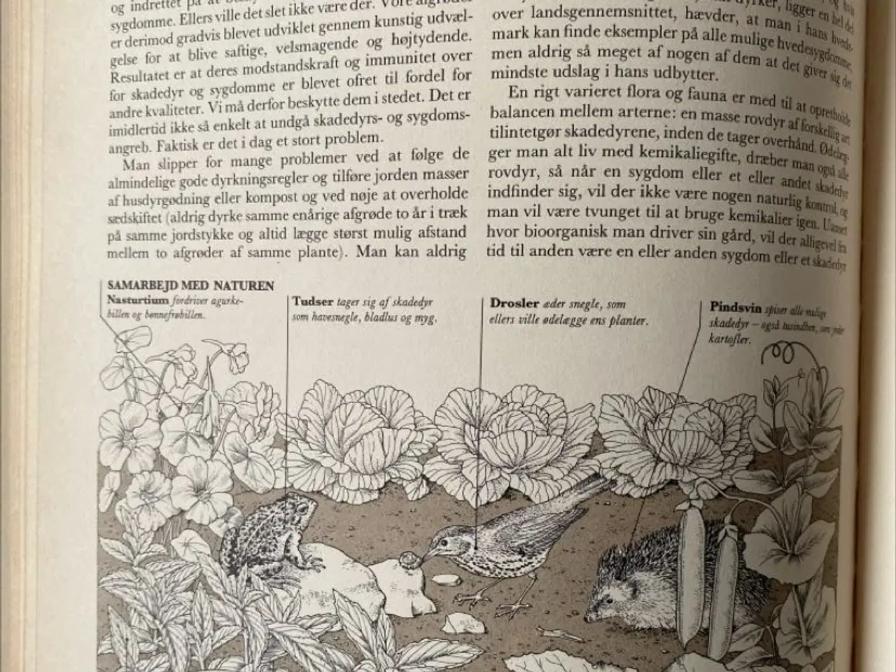 Billede 5 - Håndbog i selvforsyning af John Seymour