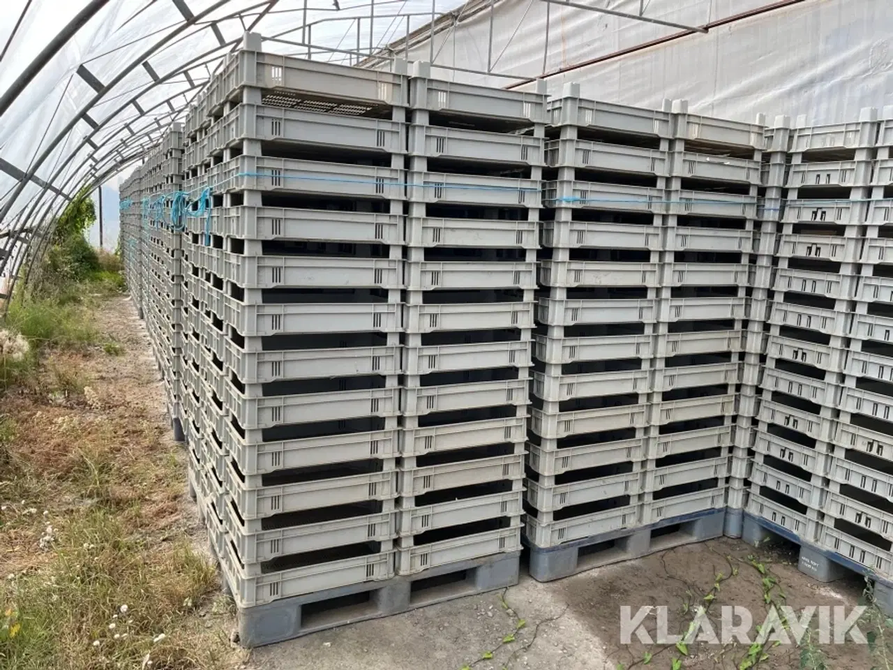 Billede 2 - Spirrekasser Okopak 100 paller 4800styk