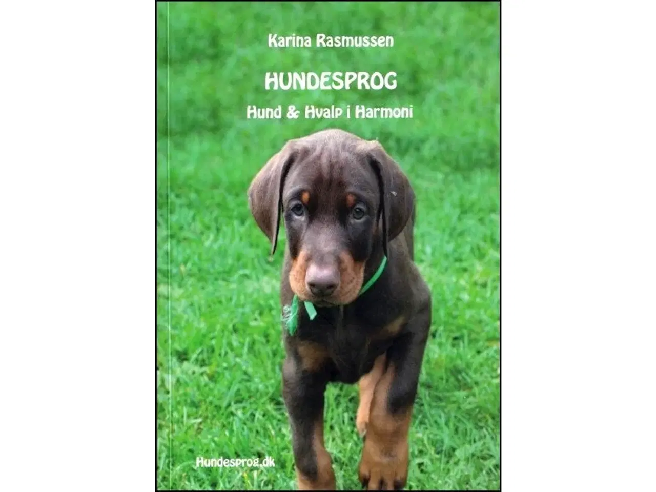 Billede 1 - Hundesprog - Hund og hvalp i harmoni