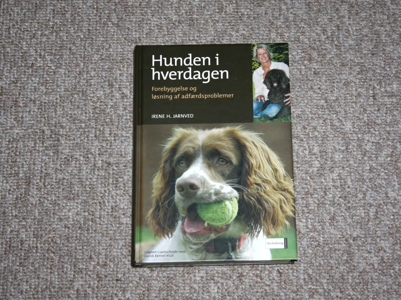 Billede 1 - Hunden i hverdagen af Irene H. Jarnved