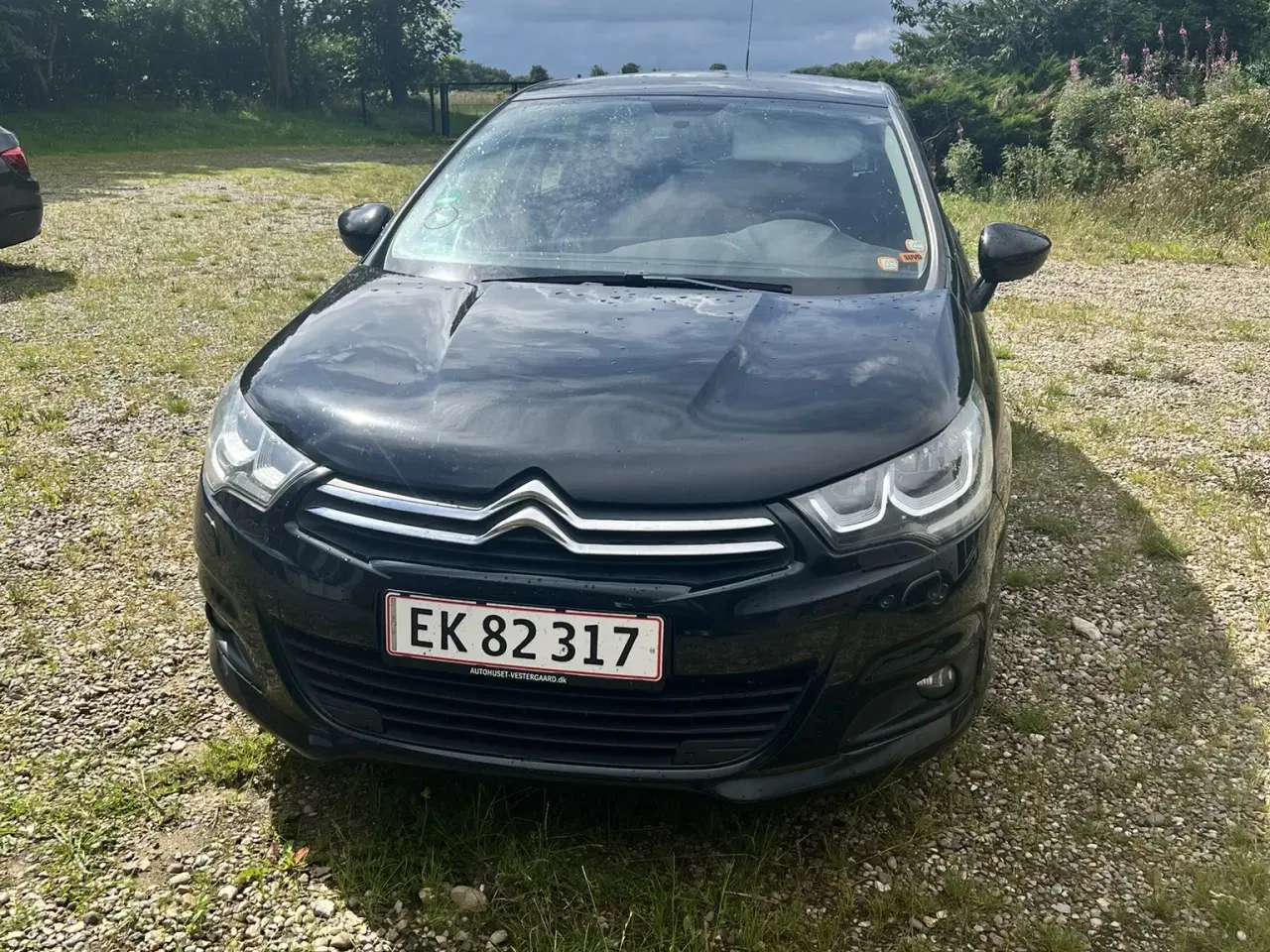 Billede 3 - 2016 Citroen C4 1,6 bluehdi 100 upgrade 5d