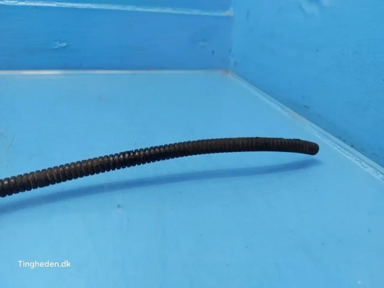 Billede 5 - Valmet 8050 Sensor 33303900