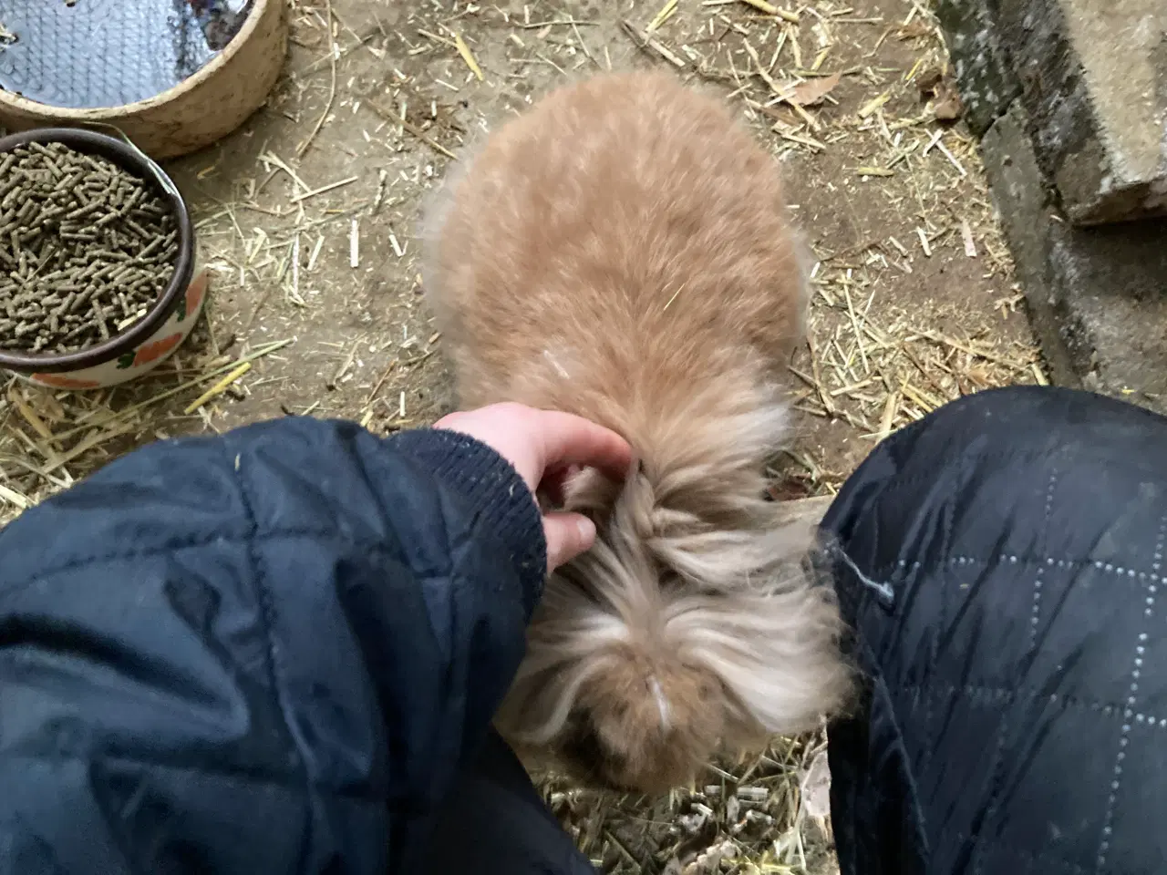 Billede 4 - 2 Søstre Bortgives Sammen